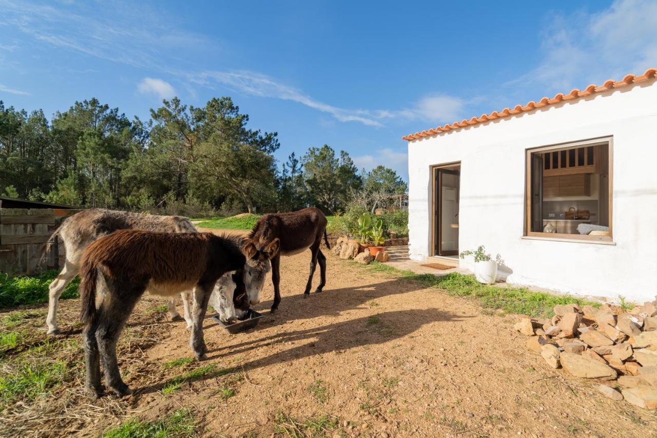 Casa Da Paz Lägenhet Aljezur Exteriör bild